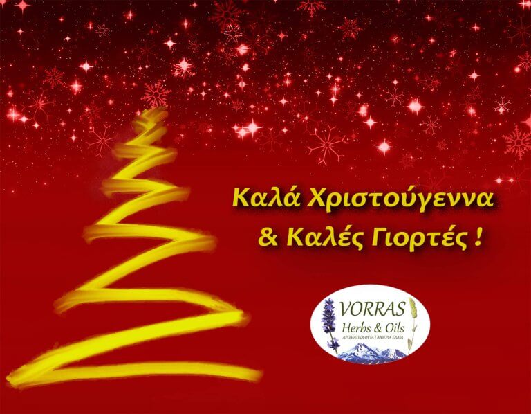 Read more about the article Καλά Χριστούγεννα & Καλές Γιορτές !