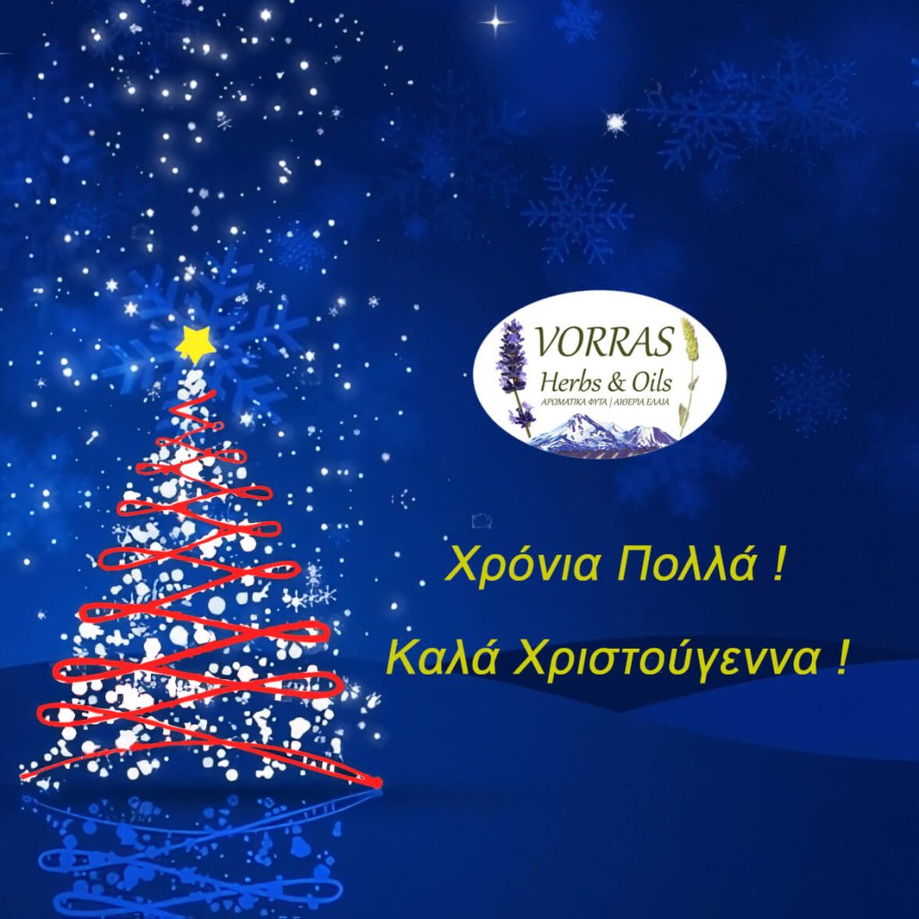 Read more about the article Χρόνια Πολλά! Καλά Χριστούγεννα!